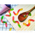 Assorted Sweet Candy Worm Gummy